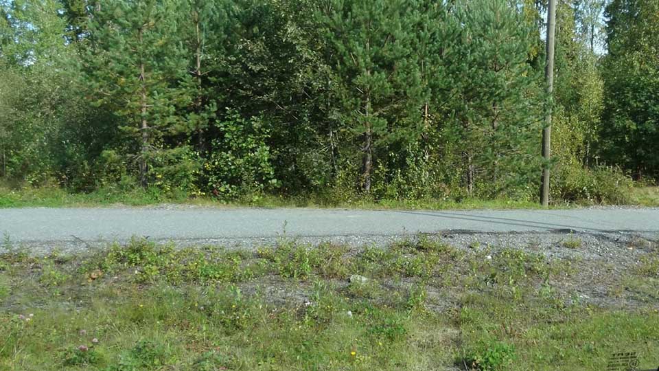 näkymä matkustajan puolen ikkunasta