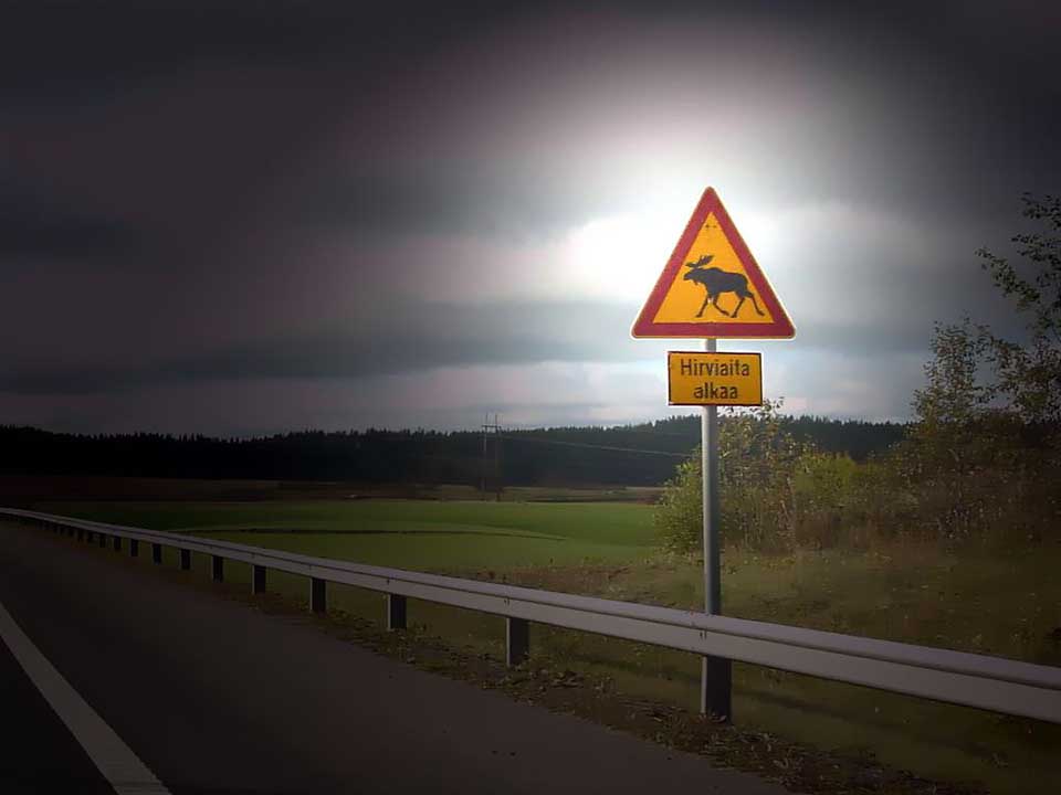 hirvivaroituskyltti tien vierellä ja hirviaita alkaa -teksti lisäkyltissä